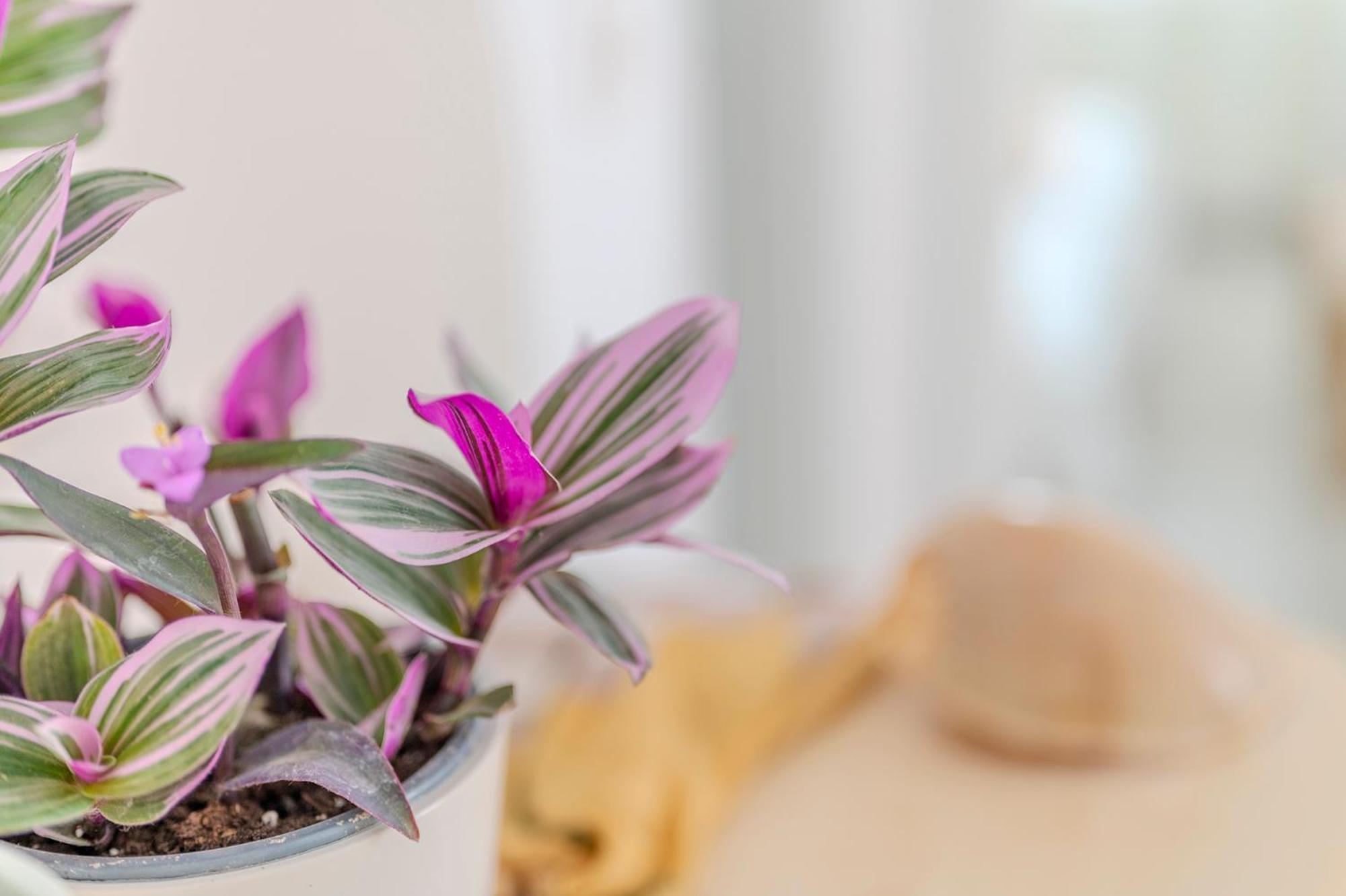 Stamatia Suites Аспровалта Екстериор снимка